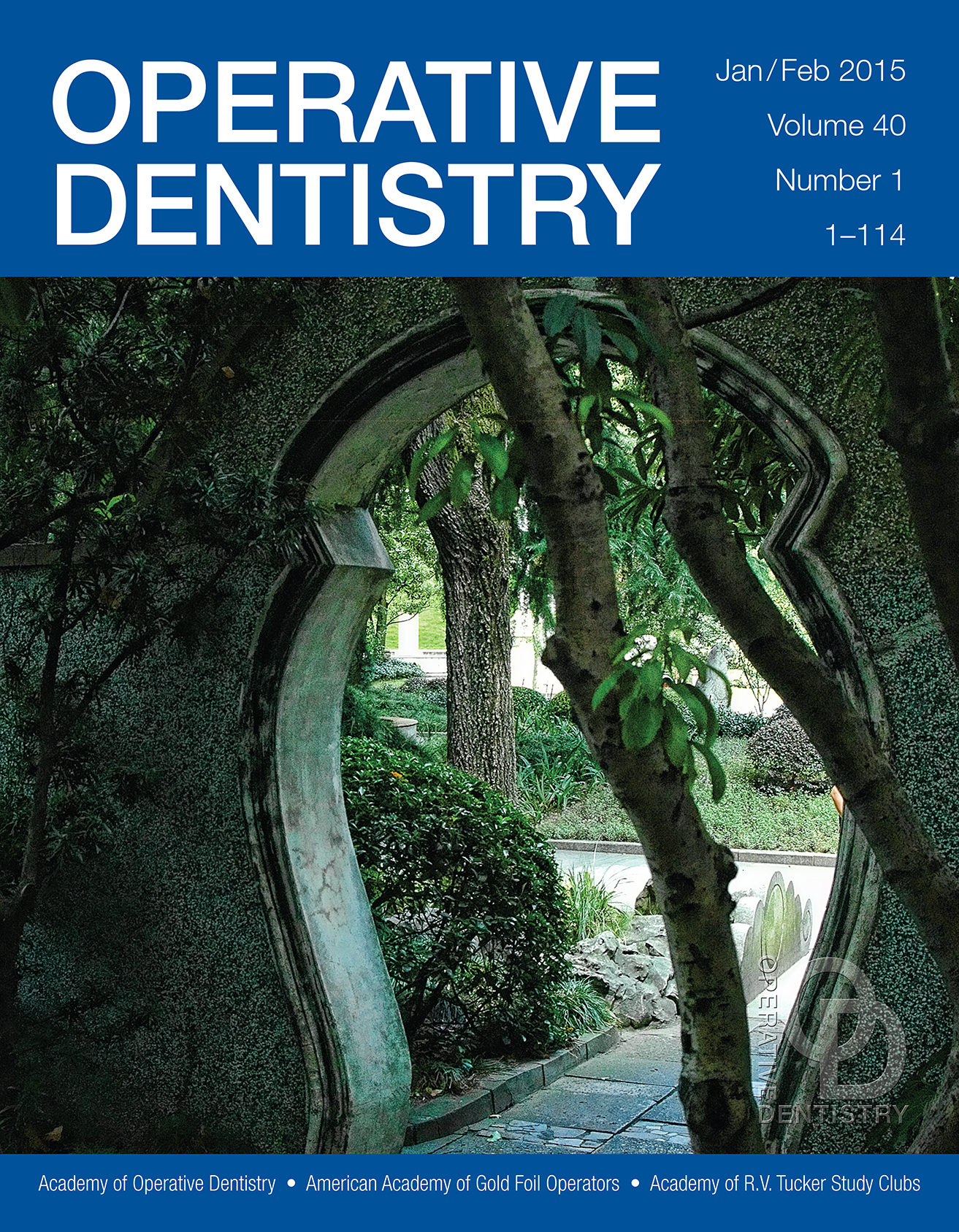 Dentistry Journal